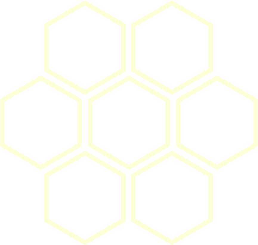 SOTOZEN ✕ SDGs